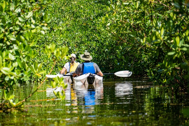 Small Group Kayak Adventure in the Cayman Islands  - Photo 1 of 11